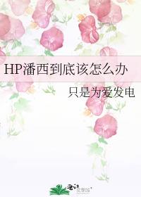 HP潘西到底该怎么办